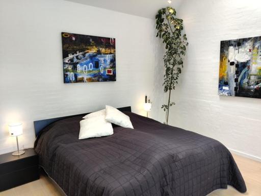 Vaerelser I Midtbyen - 117 M2 Apartment 헤르닝 외부 사진